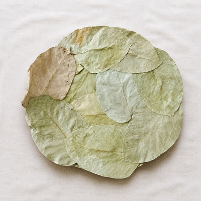 Leaf Plate Dry Handmade 15 Inch