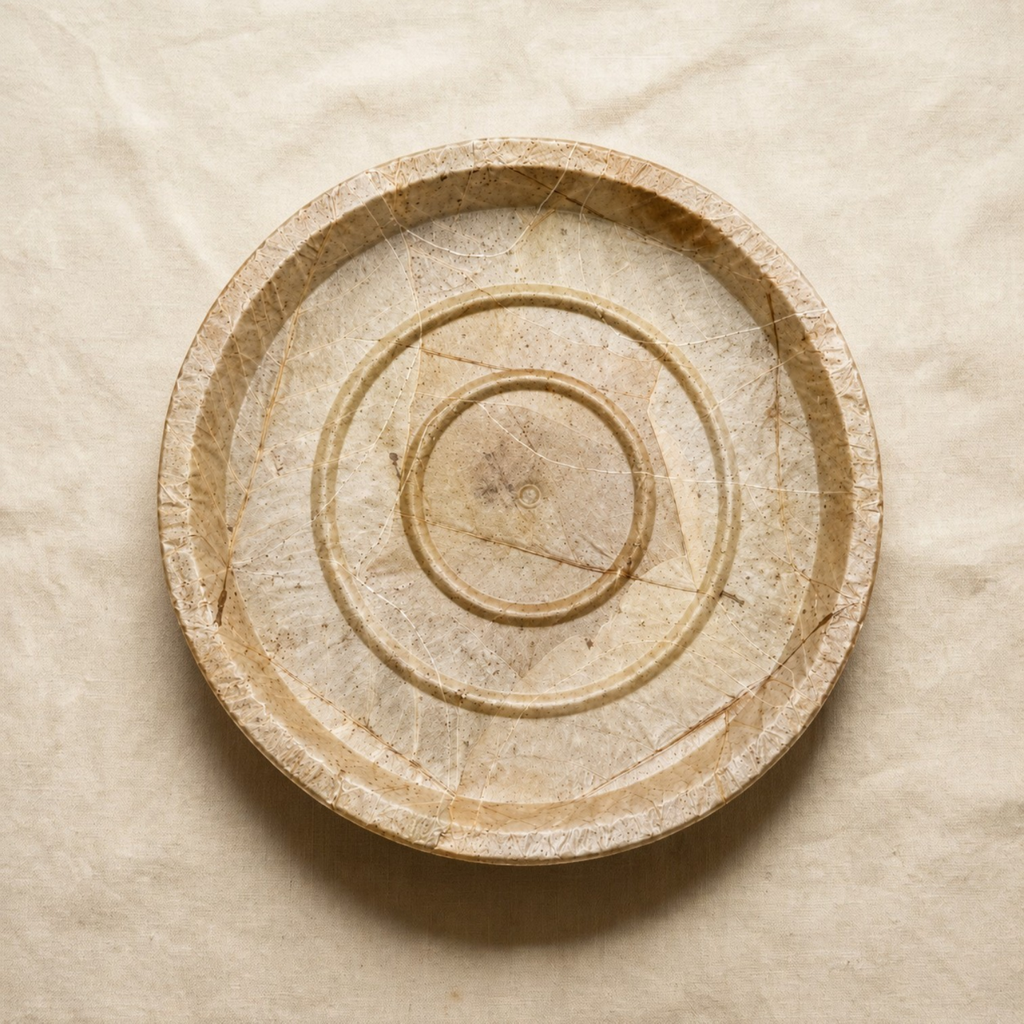 Buffet Leaf Plate Leaf Front with Cardboard Back 13.5 Inch