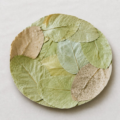 Leaf Plate Dry Handmade 15 Inch