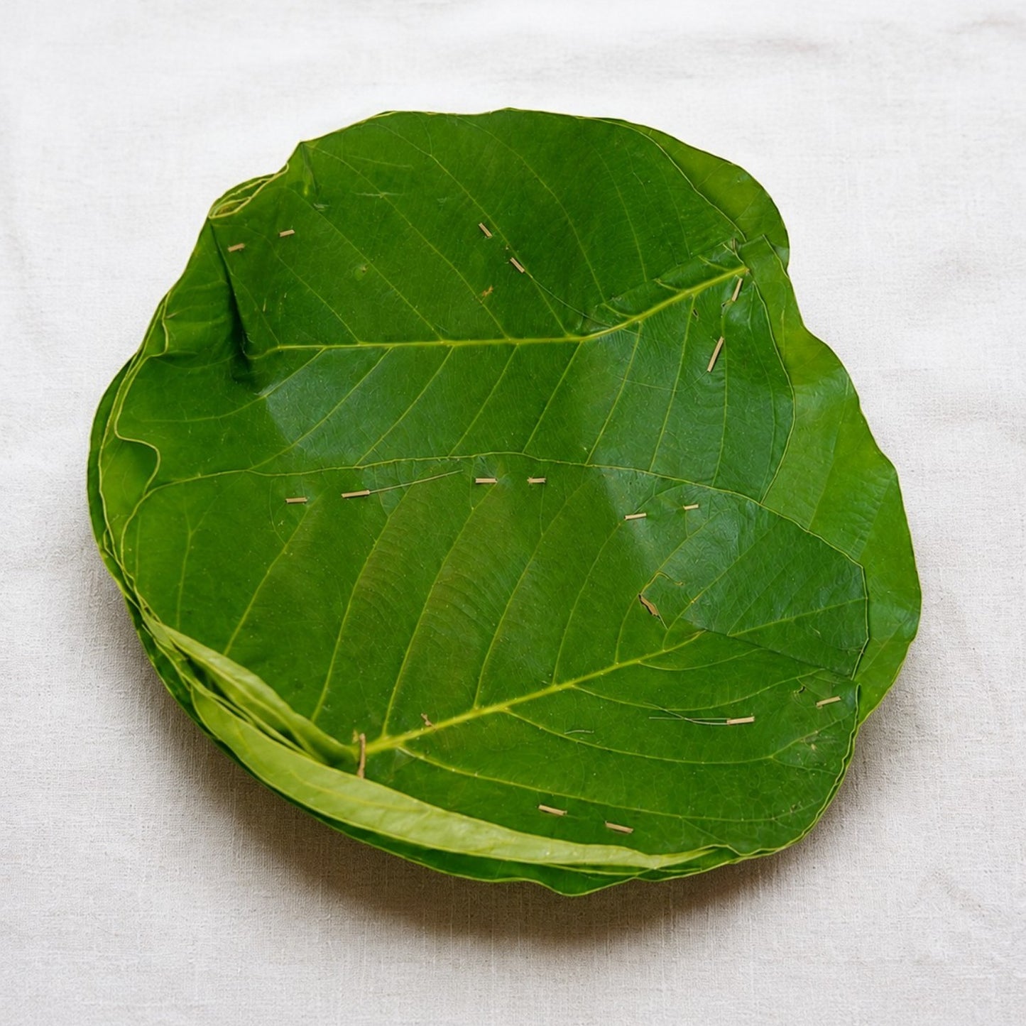 Raw Leaf Bowl Handmade